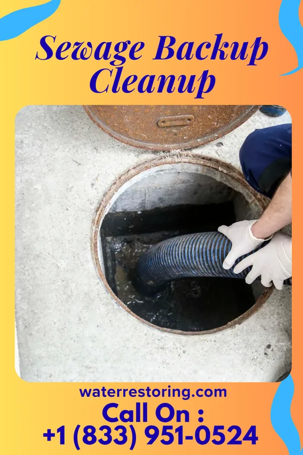 Sewage Backup Cleanup in Coffey, MO